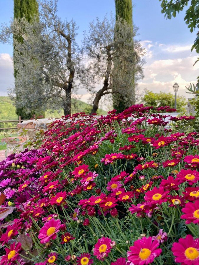 Agriturismo Belagaggio Montefollonico Kültér fotó