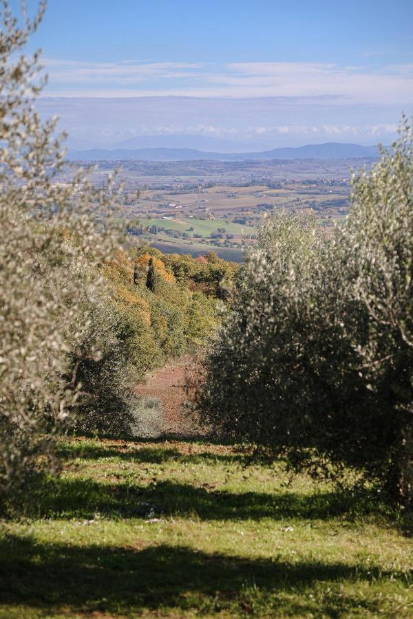 Agriturismo Belagaggio Montefollonico Kültér fotó
